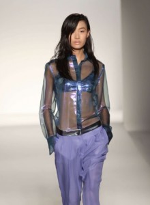 Pantalon et sa Chemise Transparente par Theyskens.